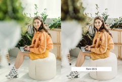 20 Aloe Vera Lightroom Presets &amp; LUTs Product Image 7