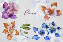 Aquilegia flowers velvet season watercolor png PNG Product Image 2