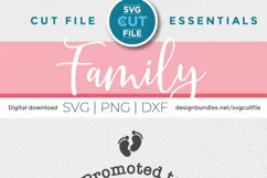 Gigi svg - a Promoted to grandma gigi svg file for crafters Product Image 3