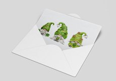 St Patrick Gnomes Product Image 2