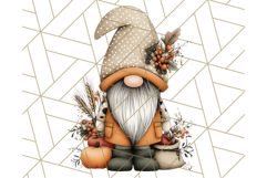Thanksgiving Gnome Clipart PNG Cute Fall Gnomes, Gnome Png Product Image 4