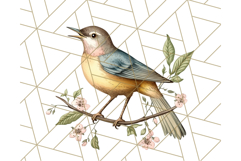 Vintage Song Bird Clipart PNG, Botanical Bird Art Clip Art Product Image 4