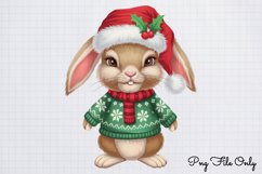 Woodland Christmas Animals Cliparts PNG Product Image 1