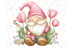 Summer Garden Gnomes Clipart PNG, Summer Country Gnomes Png Product Image 4