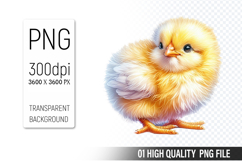 Cute Chick Clipart PNG, Printable Animals, Wildlife Design Product Image 1