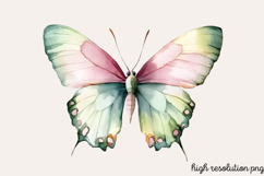 Colorful Spring Butterfly Clipart PNG Product Image 1
