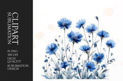 Watercolor blue cornflowers clipart sublimation Product Image 1