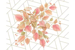 Fall Foliage Clipart PNG, Pink and Green Leaves Product Image 4