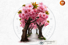 Floral Archways and Enchanting Garden Entrance Illustrations Product Image 14