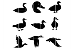 Loon SVG. Loon png. Loon clipaert. Loon Silhouette cut file. Product Image 1