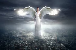 30 ANGEL WINGS TRANSPARENT PNG FILES, PHOTOSHOP OVERLAYS Product Image 7