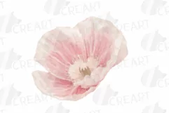 Watercolor bridal flowers on summer berry colors clip art Product Image 5