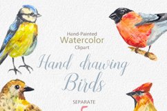 Digital Watercolor Birds Clip Art Product Image 2