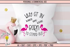 Why fit in when you were born to stand out | Flamingo SVG Product Image 1