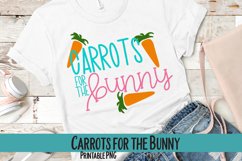 Carrots for the Bunny Sublimation PNG Product Image 1