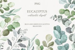 Watercolor eucalyptus clipart Product Image 1