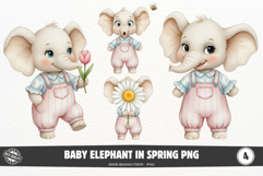 Baby Elephant in Spring PNG Product Image 1