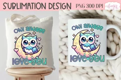 Owl always love you PNG, Valentines day sublimation PNG Product Image 4