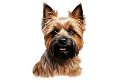 Cairn Terrier Dog Clipart | Watercolor Dog Clipart PNG Product Image 1