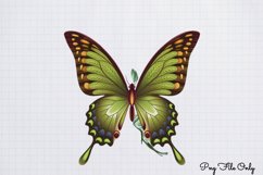Smoke Butterflies Clipart PNG Product Image 1
