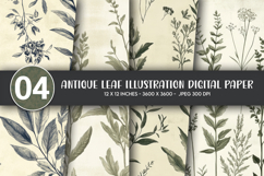 Antique Leaf Illustration Digital Paper Product Image 1