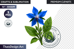 Flower Clipart PNG, Botanical Illustration Floral graphic Product Image 1