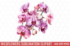 Wildflowers Sublimation Clipart Product Image 1