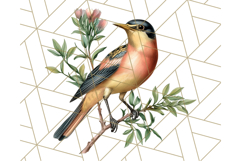 Vintage Song Bird Clipart PNG, Botanical Bird Art Clip Art Product Image 5