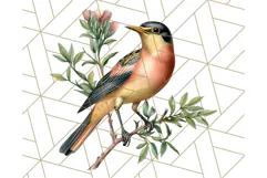 Vintage Song Bird Clipart PNG, Botanical Bird Art Clip Art Product Image 5