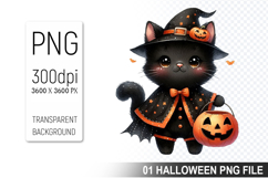 Halloween Witch Cat, Halloween Clipart PNG File Product Image 1