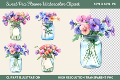 Sweet Pea Flower Watercolor Clipart Bundle PNG Product Image 4