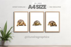 Animal Wall Art - 03 Variations Product Image 1