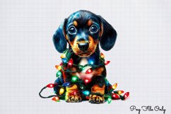Christmas Dachshunds Clipart PNG Product Image 1