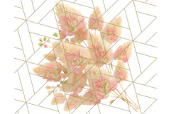 Fall Foliage Clipart PNG, Pink and Green Leaves Product Image 5