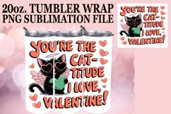 Joyful Hearts 20oz tumbler wrap, Valentines Cat Product Image 1