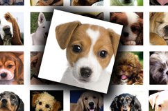 Digital Collage Sheet - Dogs and Puppies Product Image 3