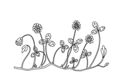 Line art botanical floral clover border isolated on white Product Image 1