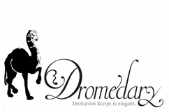 Invitation Script - Free Font of The Week Product Image 2