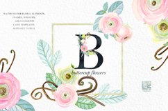 Buttercups. Ranunculus soft pink. Product Image 7