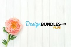 Pink peony flower bright wooden background stock photo Product Image 1