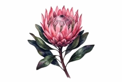Watercolor soft bouquet with green leaves Product Image 1