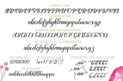Web Font Orlintia Script Product Image 3
