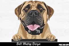 Bull mastiff Sublimation, Bull mastiff PNG Product Image 1