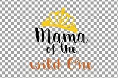 Wild One baby fox t-shirt graphic, family birthday svg files Product Image 14
