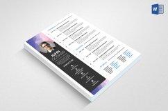 Professional CV Product Image 2