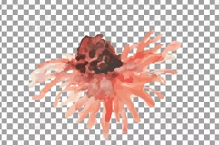Faded orange and blush flowers and green leaves watercolor Product Image 8