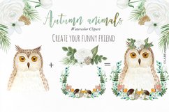 Autumn animals. Watercolor clipart. Product Image 9