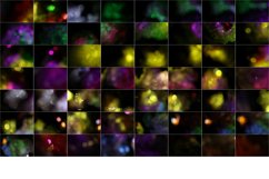 120 Colorful Light Leak, Photoshop Effect Product Image 10