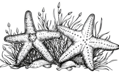 Starfish Pencil Ink Sketch Background Wallpaper Product Image 1
