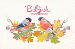 Watercolor bullfinch bird clipart Product Image 2